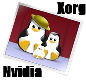 Xorg + Nvidia installation. 